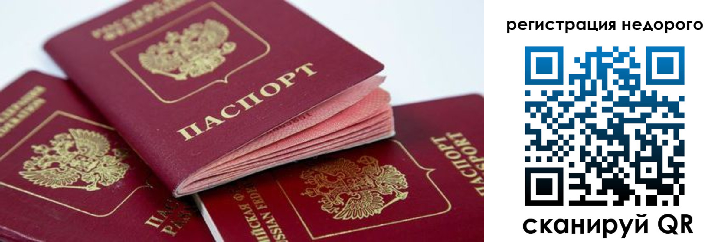 где прописаться в Павловске